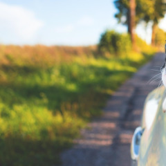 happy car owner portrait